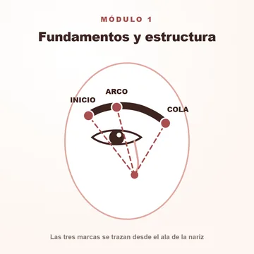 IMAGEN: fundamentos y estructura de la ceja — miniatura cuadrada 1/13 del marquee, se ve chica y en movimiento