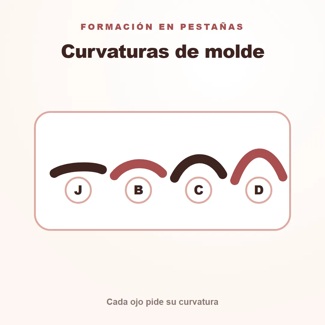 IMAGEN: los distintos moldes de pestañas ordenados por curvatura — tarjeta 9/9, foto real del trabajo, nunca una tapa